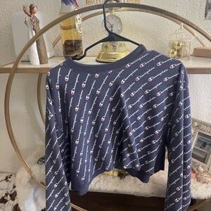Champion Blue Crew Neck Sweater with Diagonal Stripes